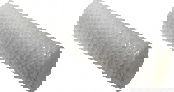 Plumbing Cartridge Filter: 2-1/2